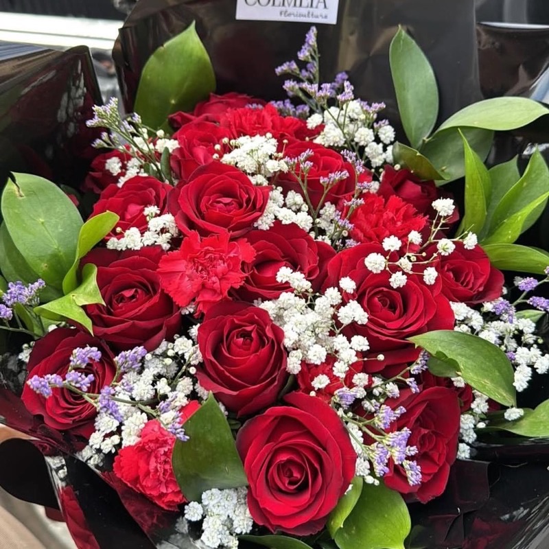 Flores da Colmeia 1